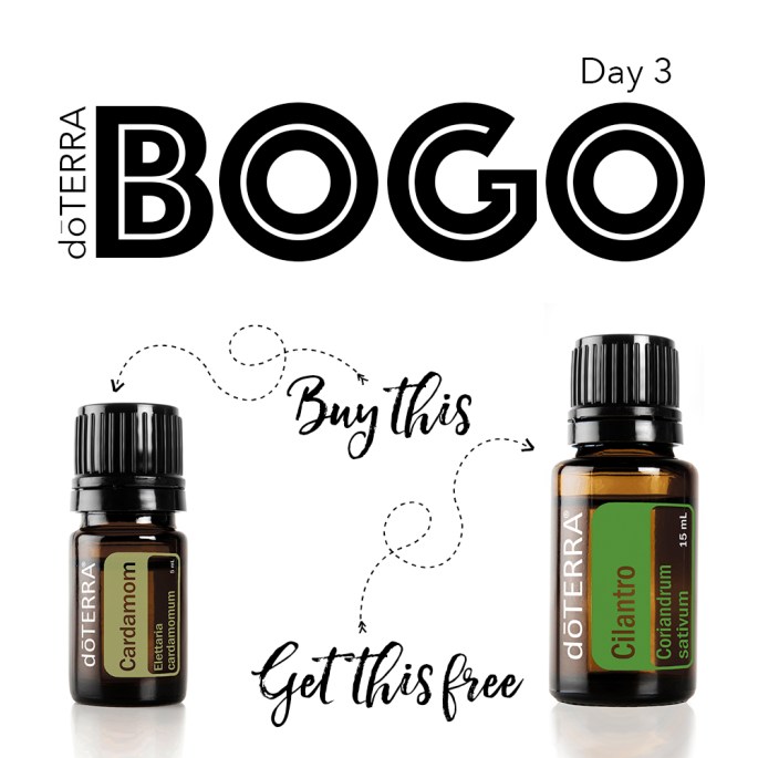 March 2018 BOGO - Day 3